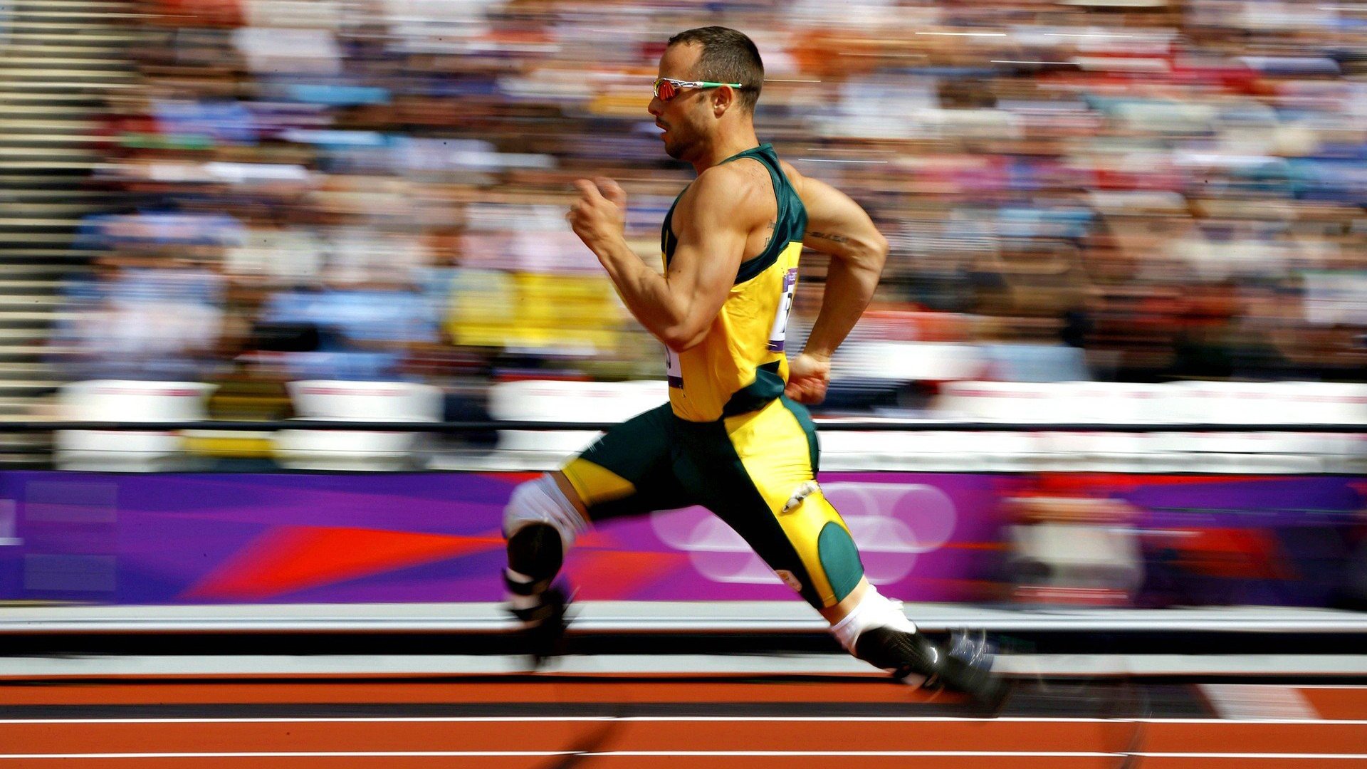 观赛攻略:最佳观景点和赛场全景指南,观赛入口